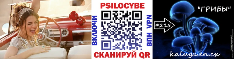 купить закладку  Аша  Галлюциногенные грибы Psilocybine cubensis 